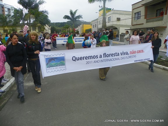 Desfile Sete de Setembro 2011 - Felinos do Aguaí