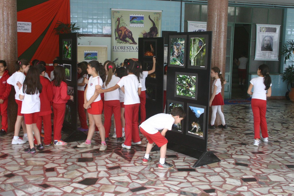Exposição Dia dos Animais