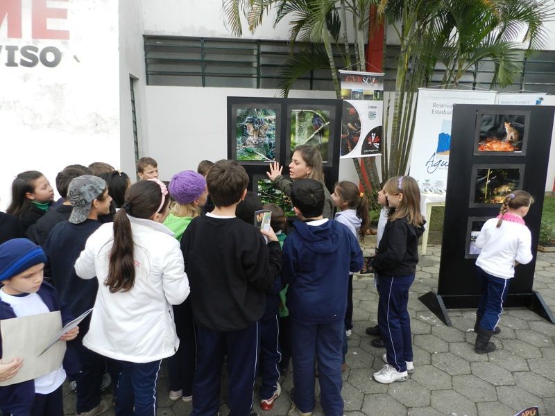 Revista em Quadrinhos