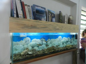 Centro de Educação Ambiental