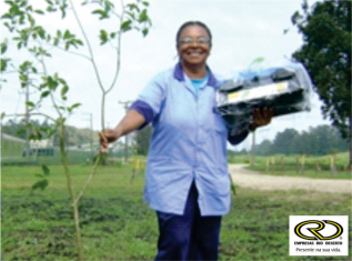 árvore-da-minha-infancia-0