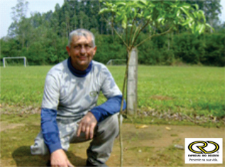 árvore-da-minha-infancia-1