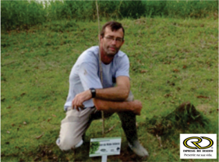 árvore-da-minha-infancia-12