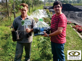 árvore-da-minha-infancia-19