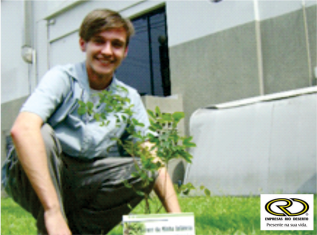 árvore-da-minha-infancia-3