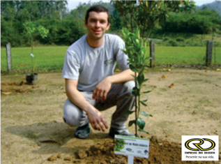 árvore-da-minha-infancia-4