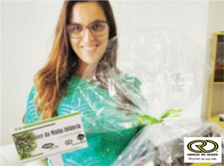 árvore-da-minha-infancia-6