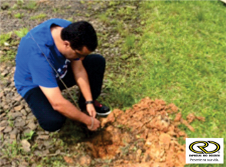 árvore-da-minha-infancia-7