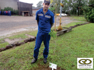 árvore-da-minha-infancia-8