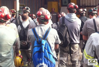 semana-do-meio-ambiente-24