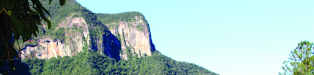 Semana da Meio Ambiente 2015