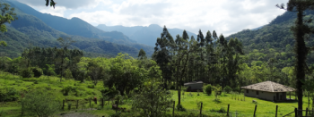“Setembro Verde” é comemorado nas Unidades Produtivas