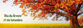 21 de setembro – Dia da Árvore
