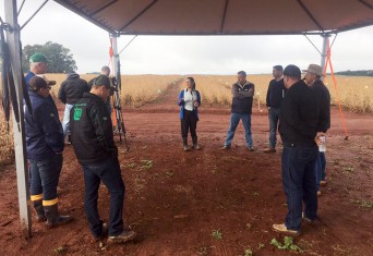 Eficiência do Gran Protect, das Empresas Rio Deserto, é comprovada em dia de campo