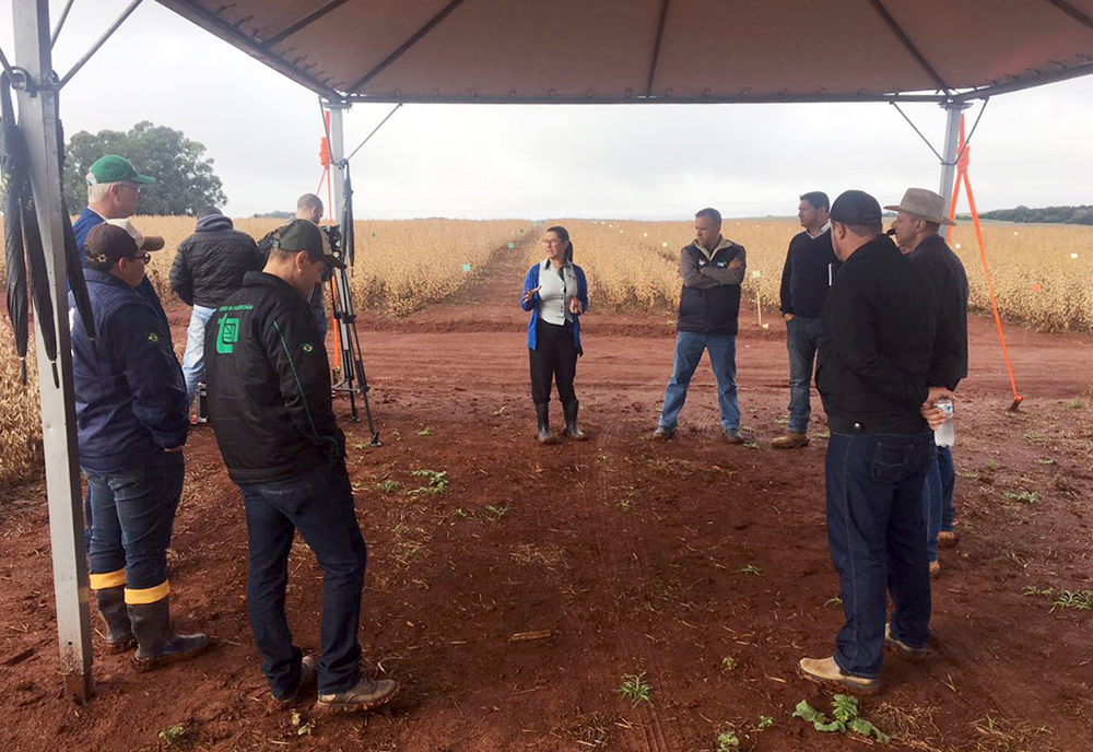 Eficiência do Gran Protect, das Empresas Rio Deserto, é comprovada em dia de campo