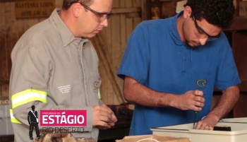 Dia do Estagiário: Oportunidades de vínculos de estágio crescem nas Empresas Rio Deserto