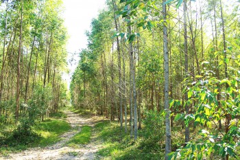 Içara Mais Doce: apicultores relatam importância do apoio da Rio Deserto