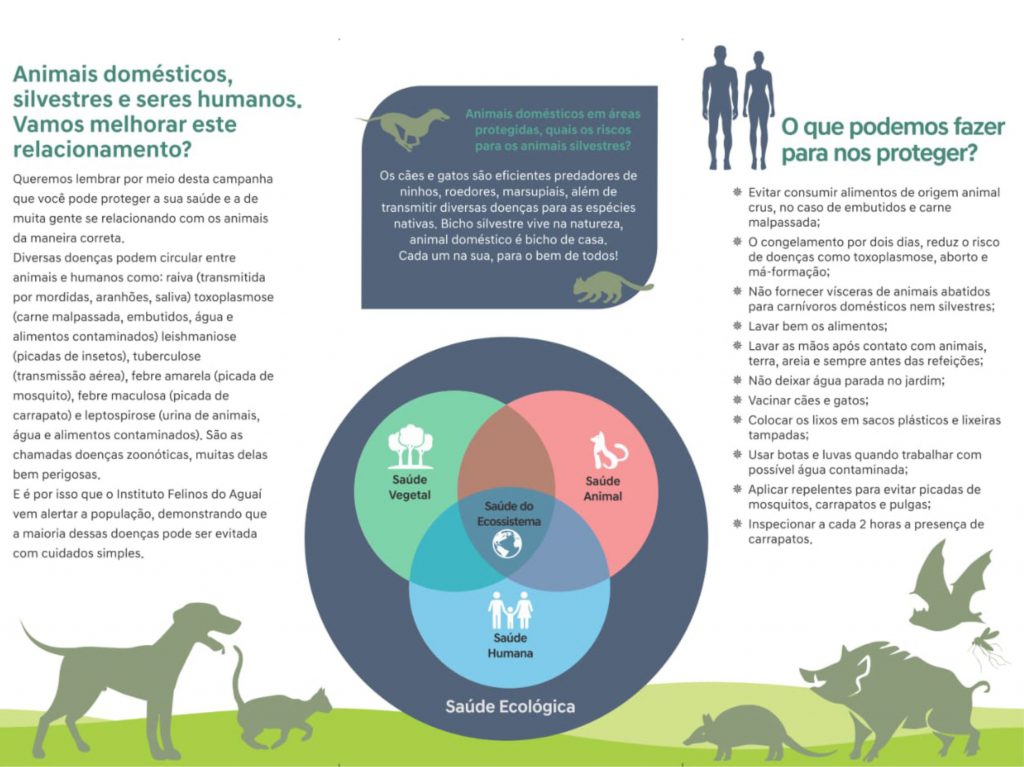 Instituto Felinos do Aguaí, que tem apoio da Rio Deserto, inicia campanha de prevenção de zoonoses e castração de animais domésticos