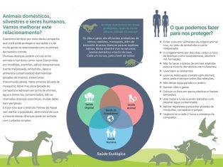 Instituto Felinos do Aguaí, que tem apoio da Rio Deserto, inicia campanha de prevenção de zoonoses e castração de animais domésticos