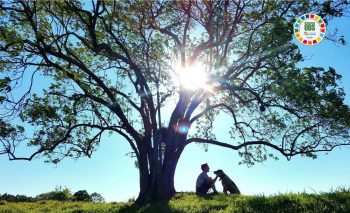 Participantes do Concurso Fotográfico “Eu amo o meio ambiente”, da Rio Deserto, são premiados