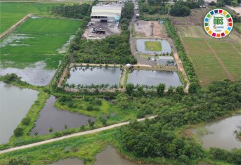 Campanha de Setembro ODS SC: ações da Rio Deserto que atendem aos objetivos 6, 8 e 9