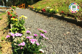 Flores e criatividade ganham espaço na Unidade de Extração Mina Cruz de Malta, da Rio Deserto