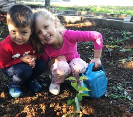 Quase 700 mudas frutíferas e de paisagismo são doadas aos colaboradores da Rio Deserto