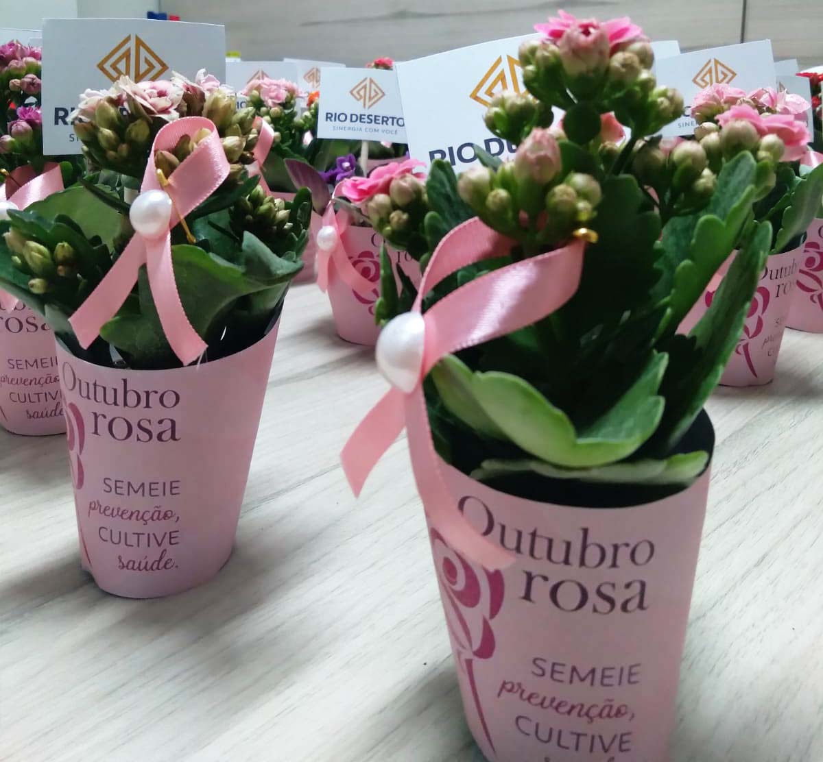 Outubro Rosa: colaboradoras da Rio Deserto recebem flores e orientações -  Rio Deserto - Sinergia com você