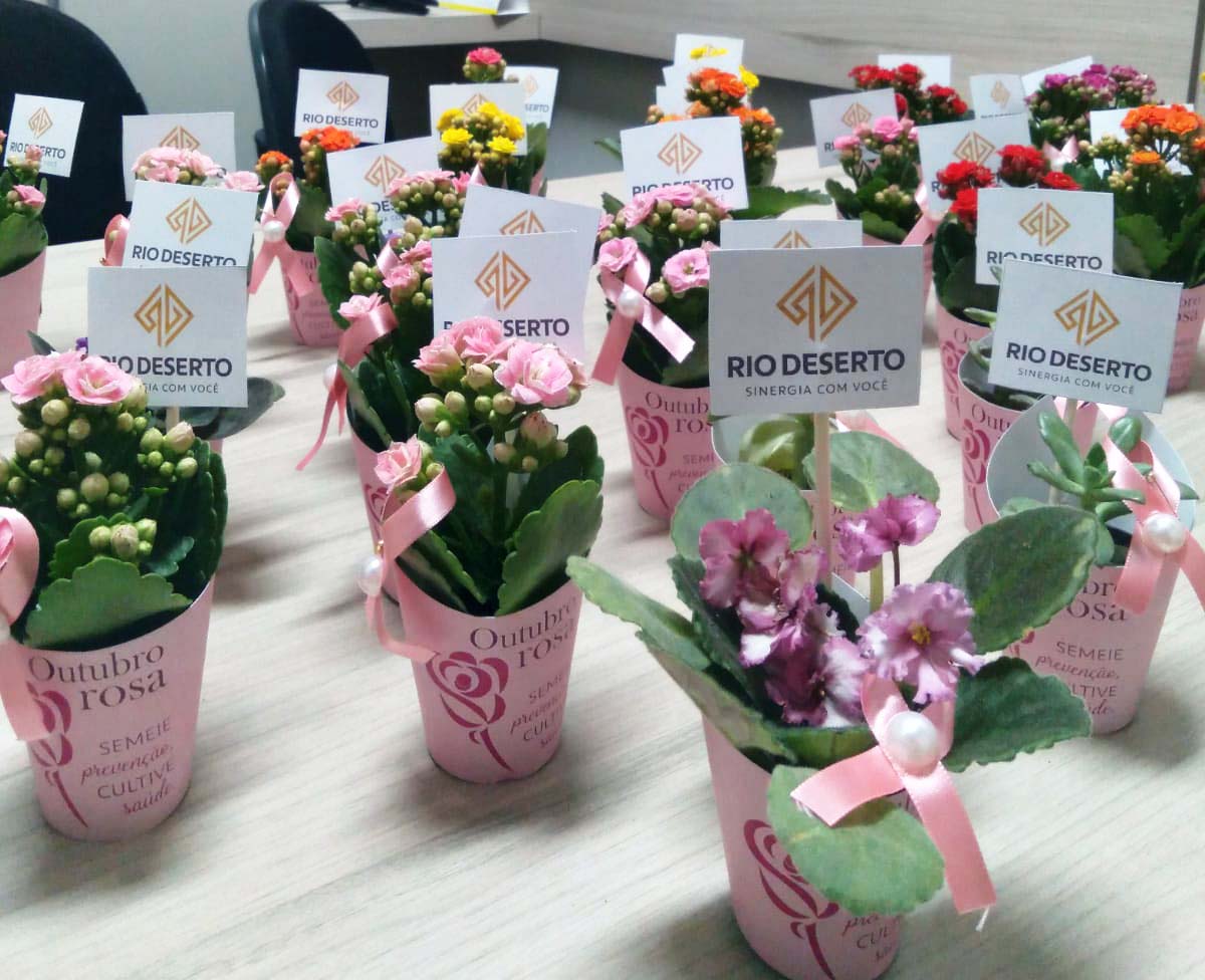 Outubro Rosa: colaboradoras da Rio Deserto recebem flores e orientações -  Rio Deserto - Sinergia com você