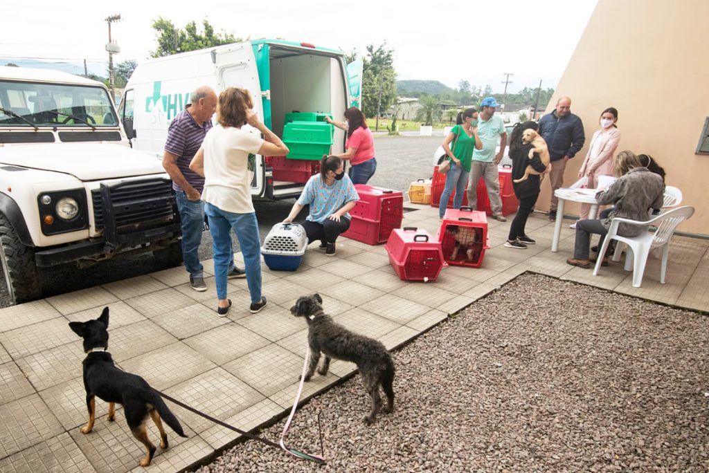 Felinos do Aguaí: Programa de Saúde Ecológica passa a compor escopo de ações