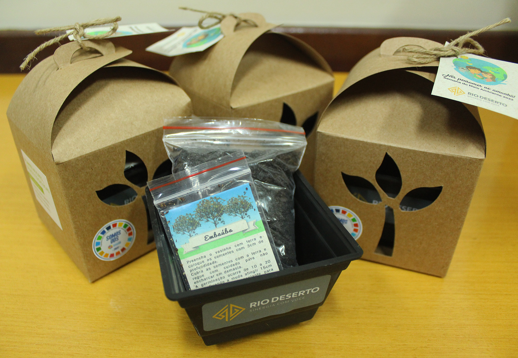 Kits ecológicos incentivam colaboradores da Rio Deserto ao cultivo de plantas