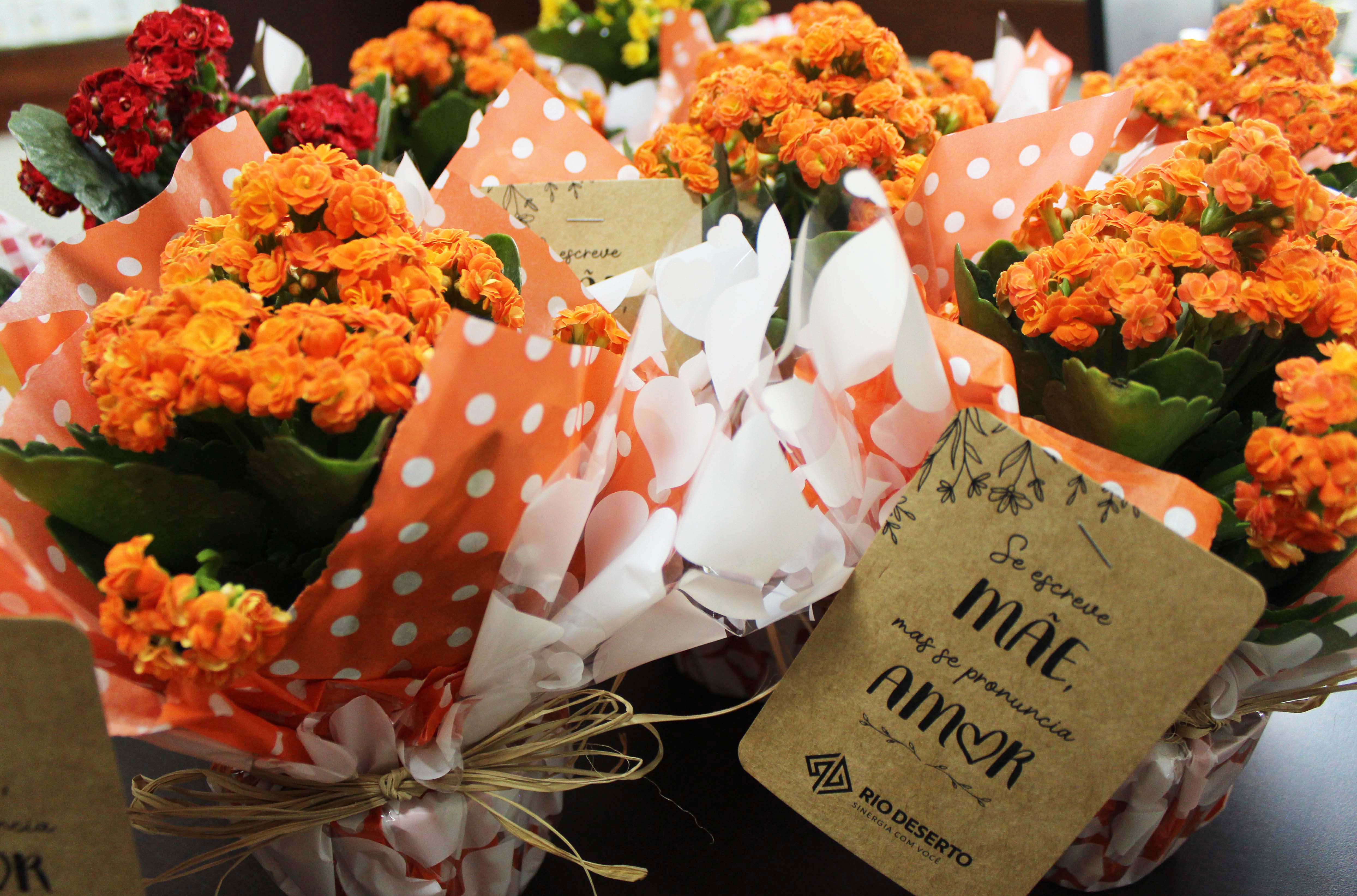 Homenagens de Dia das Mães marcam semana na Rio Deserto