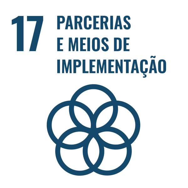 ODS 17 - Paz, justiça e instituições eficazes